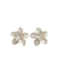ARETES 002