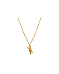 COLLAR 010